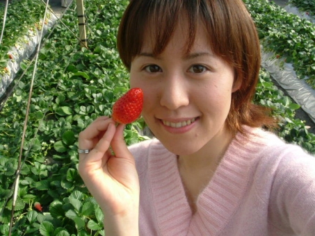いちご摘みは是非、静岡県掛川市の「赤ずきんちゃんのおもしろ農園」で！！